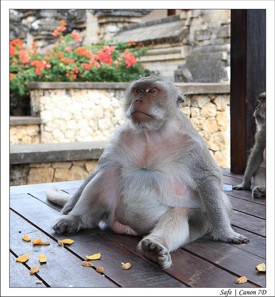 2012 - 07 - Bali - 03